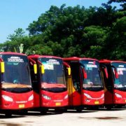 Bus Medium Medan