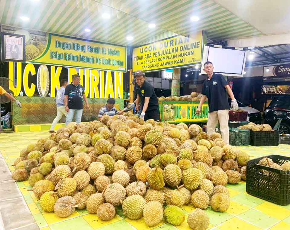 Ucok Durian