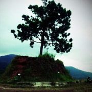 One Tree Hill Taman Simalem Resort