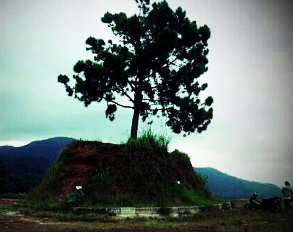 One Tree Hill Taman Simalem Resort