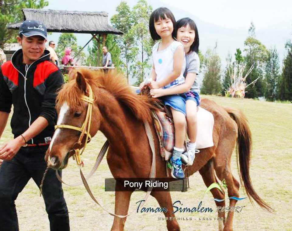 Berkuda Taman Simalem Resort
