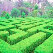 Labirin Taman Simalem Resort