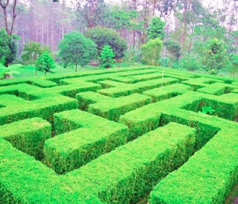 Labirin Taman Simalem Resort