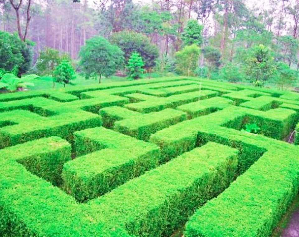 Labirin Taman Simalem Resort