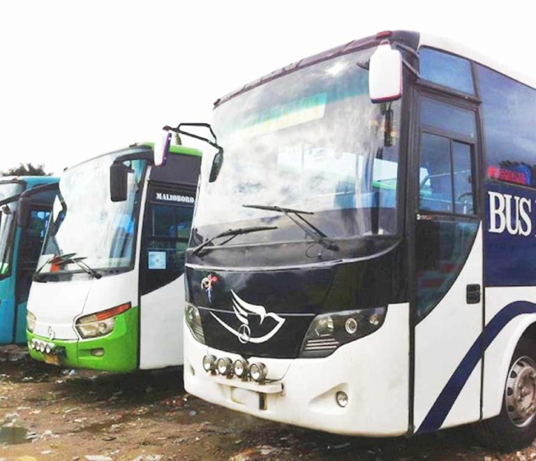 Sewa Bus Pariwisata Medan Bigbus