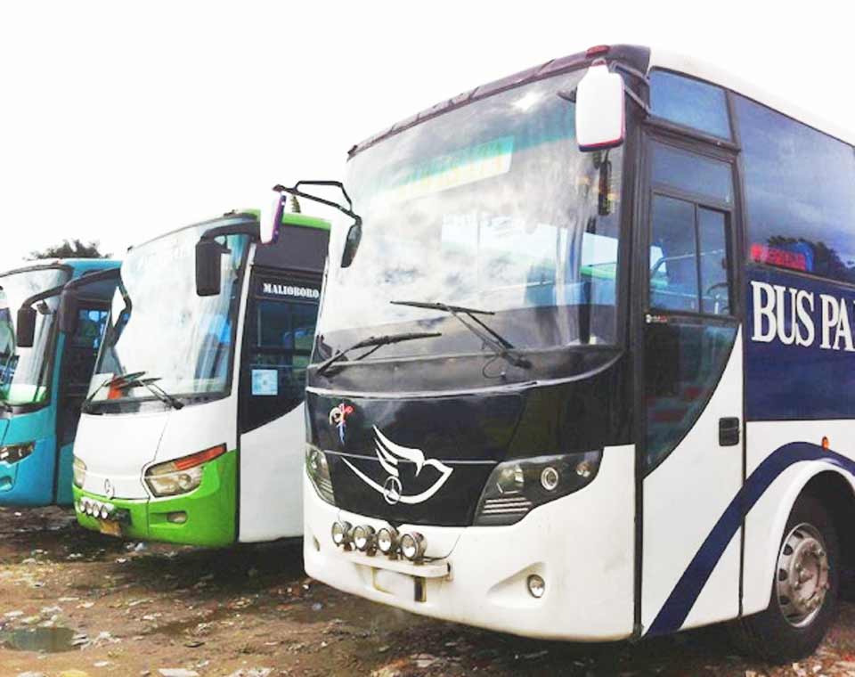 Sewa Bus Pariwisata Medan Bigbus