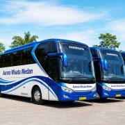 Big Bus Auroea Wisata Medan
