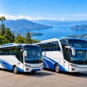 Big Bus vs Medium Bus