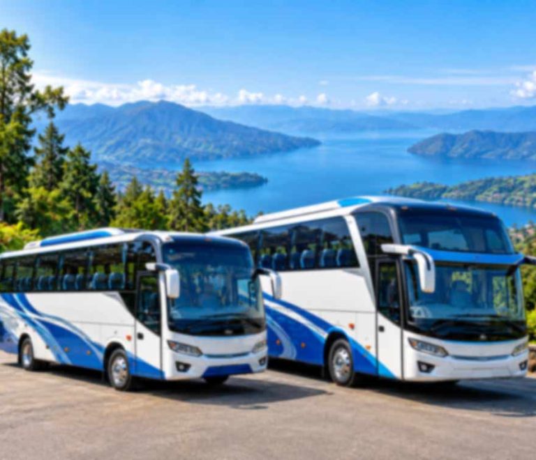 Big Bus vs Medium Bus