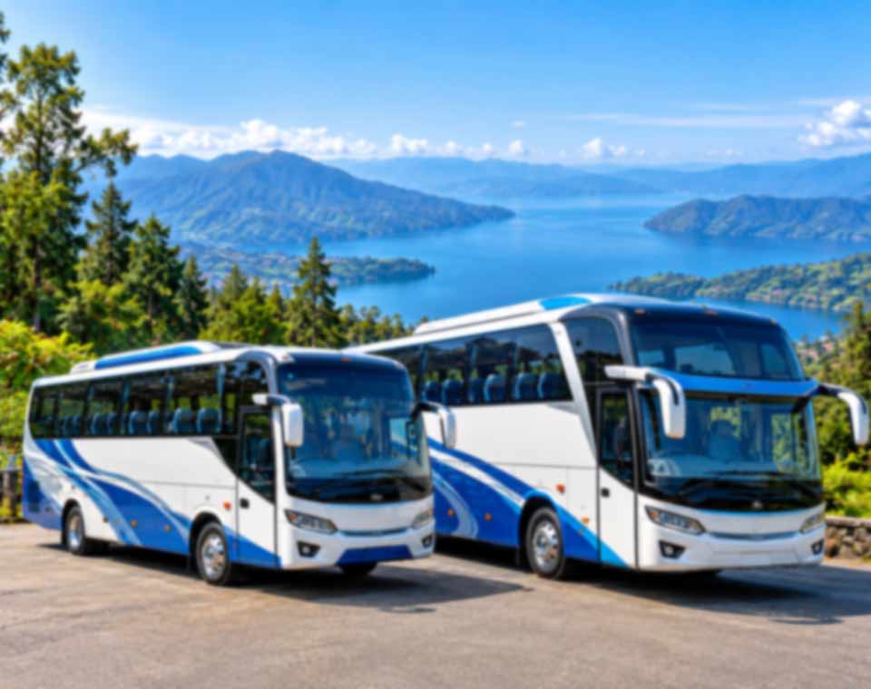 Big Bus vs Medium Bus