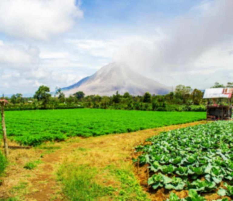 Pesona Gunung Sinabung Berastagi