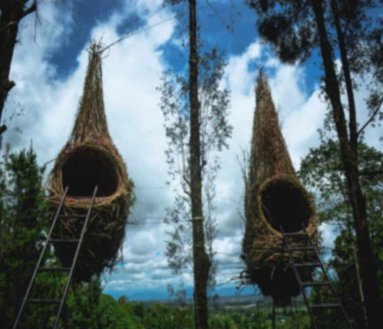 Puncak Sidiangkat Dari